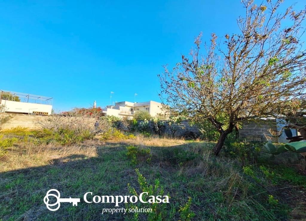 immagine annuncio 4 di 6