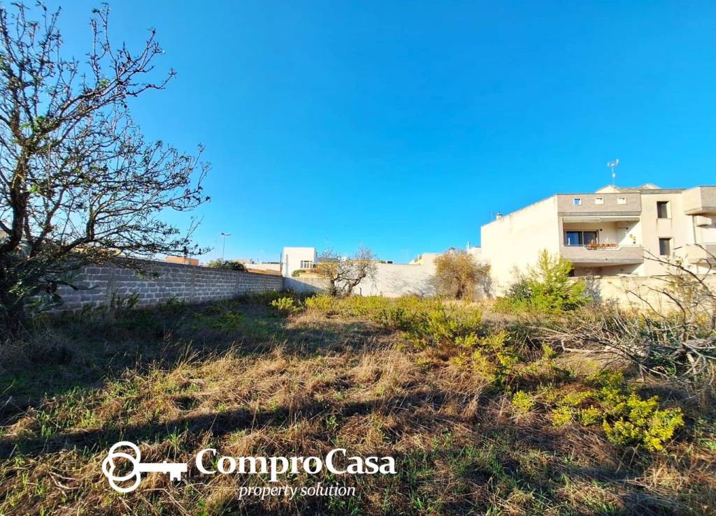 immagine annuncio 5 di 6