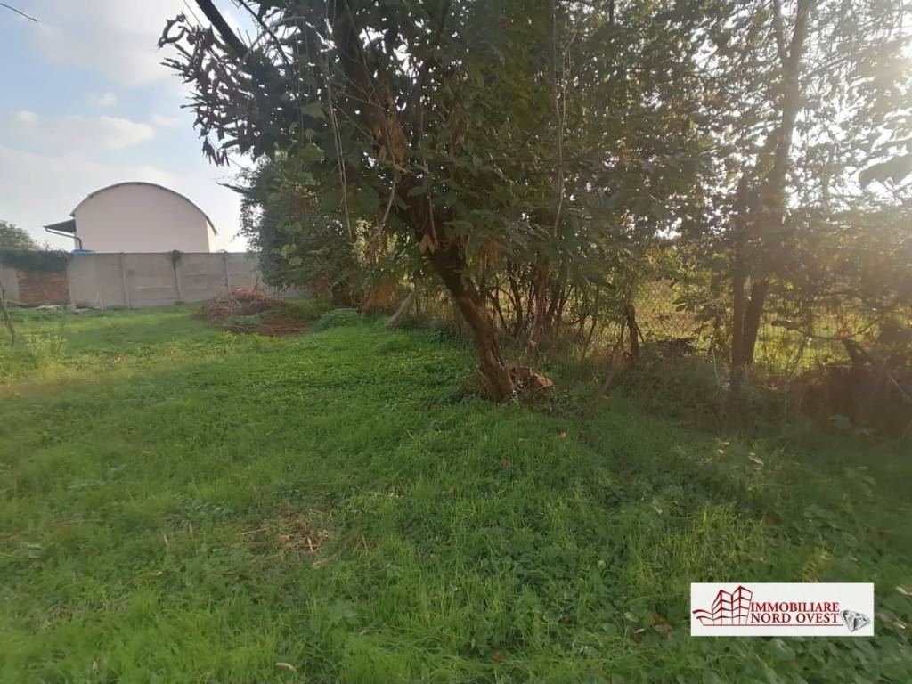 immagine annuncio 4 di 8