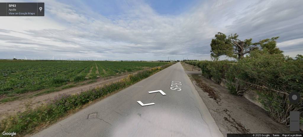 immagine annuncio 4 di 13