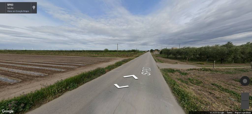 immagine annuncio 7 di 13