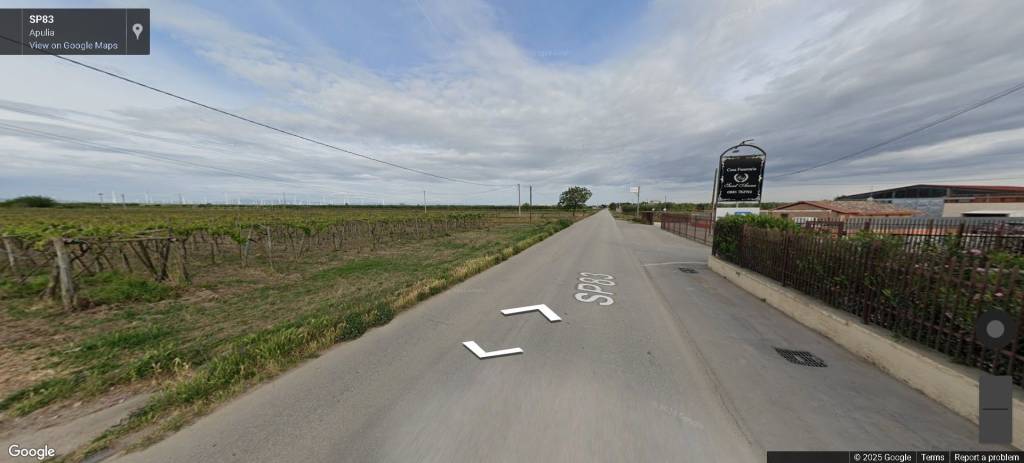 immagine annuncio 8 di 13