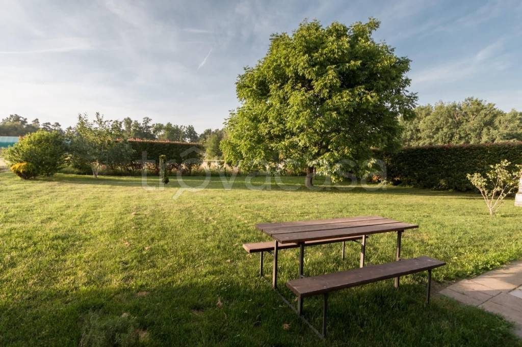 immagine annuncio 4 di 9