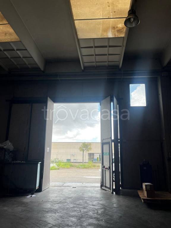 immagine annuncio 3 di 8