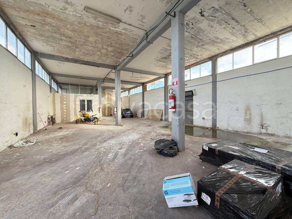 immagine annuncio 11 di 15