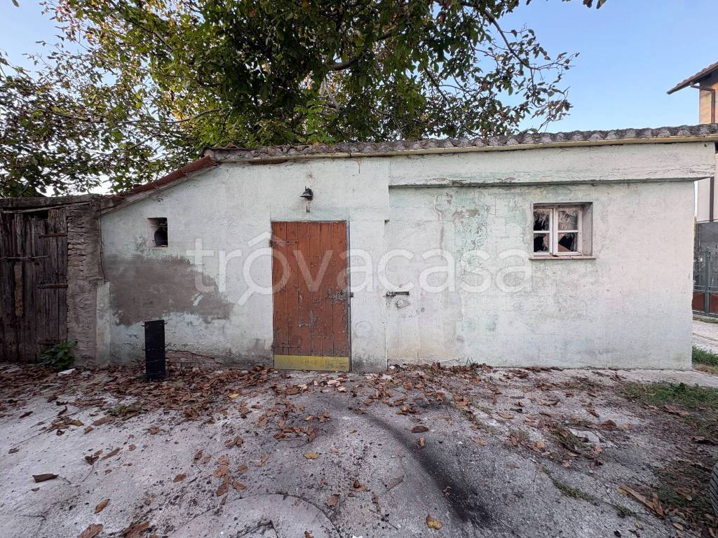 immagine annuncio 4 di 11