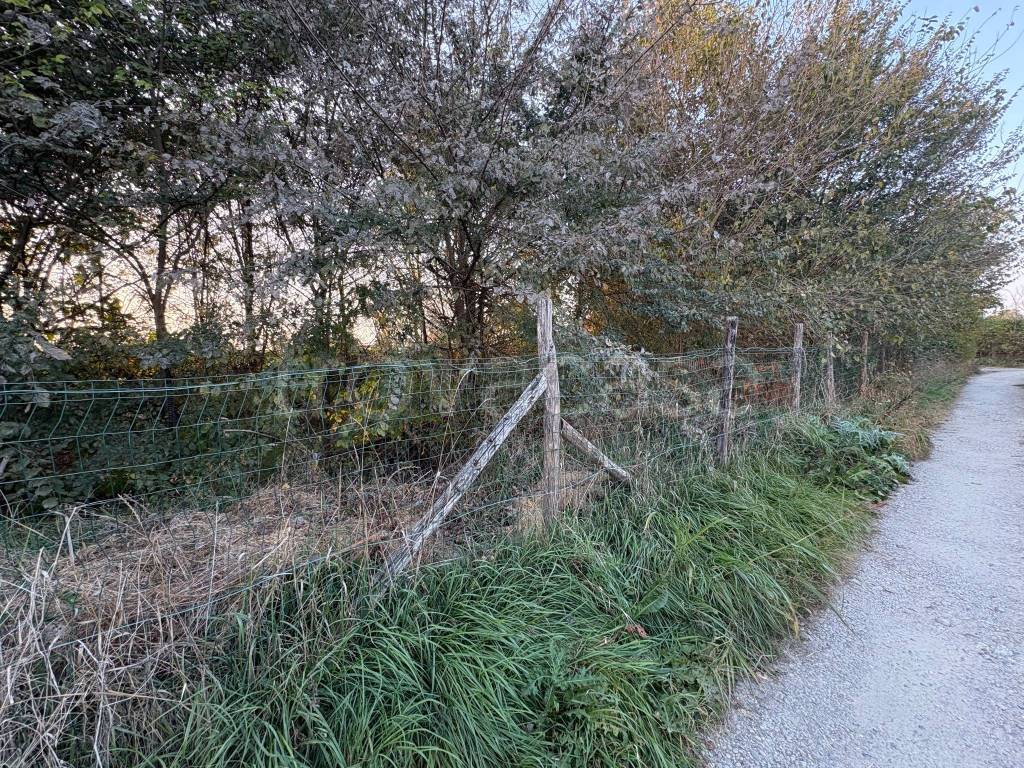 immagine annuncio 10 di 11