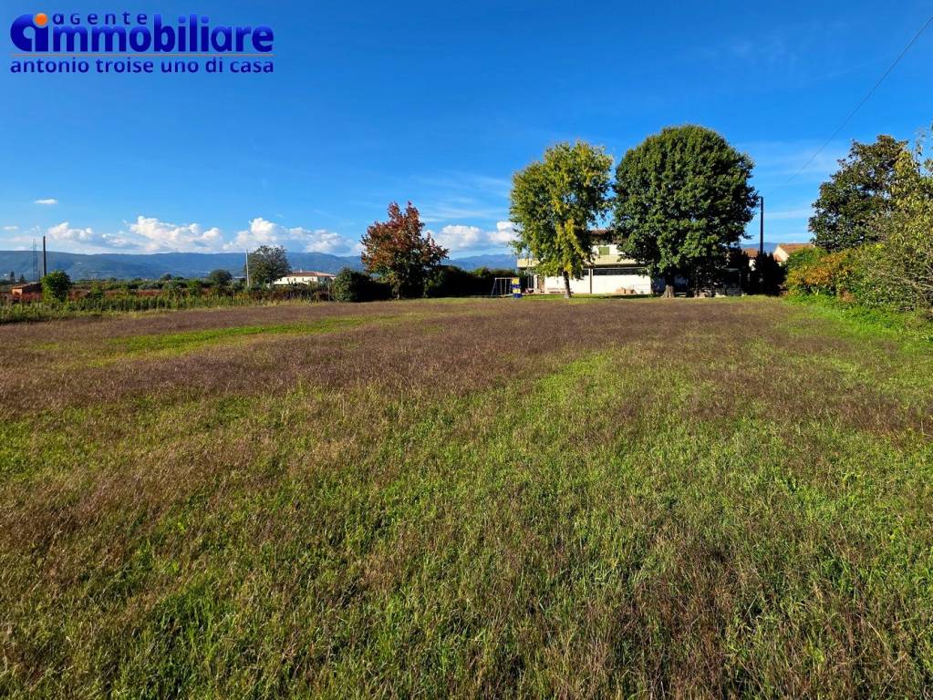 immagine annuncio 2 di 6