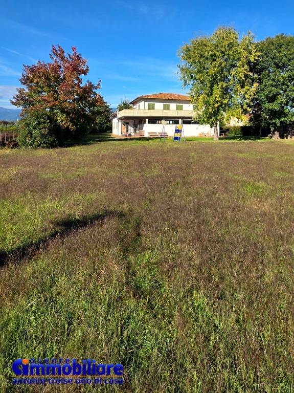 immagine annuncio 3 di 6