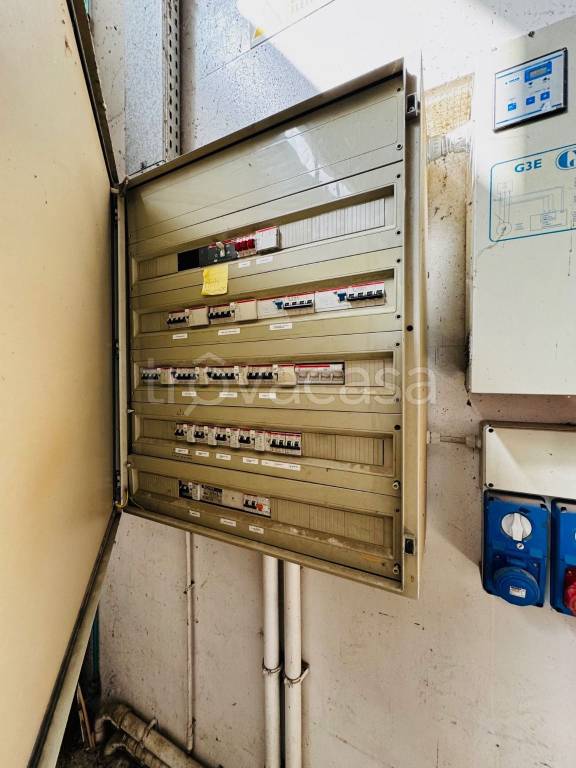 immagine annuncio 10 di 11