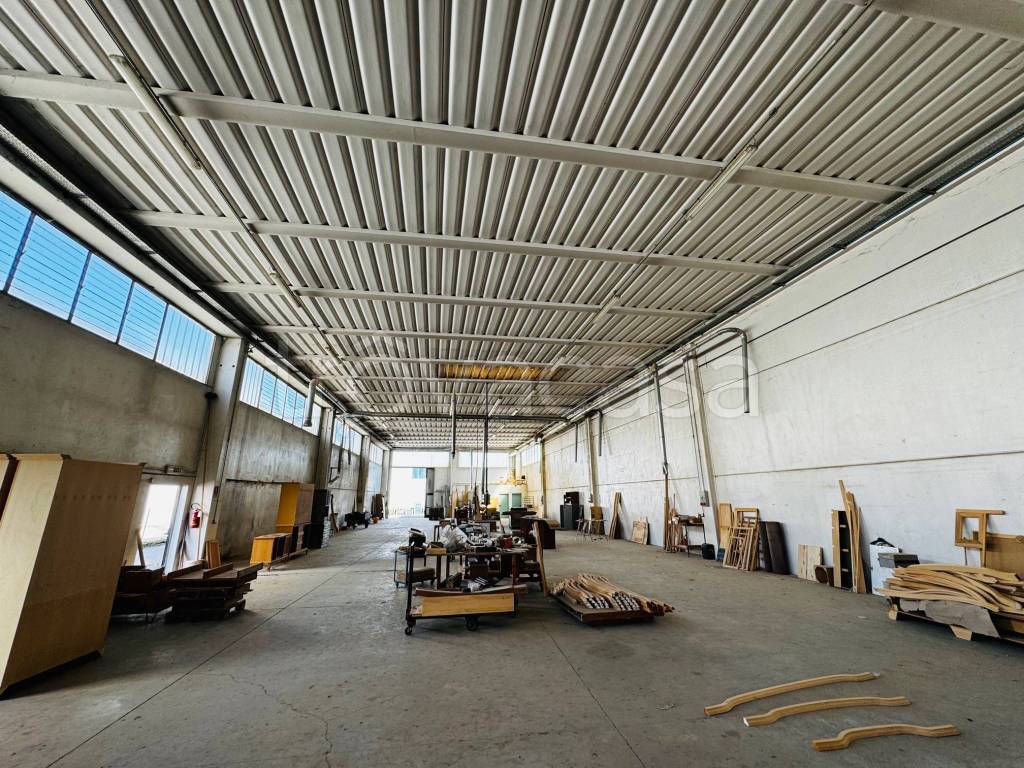 immagine annuncio 7 di 11