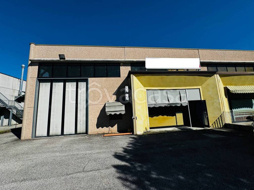 immagine annuncio 2 di 11