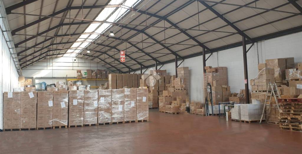 immagine annuncio 9 di 15