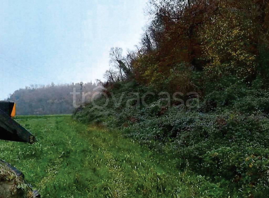 immagine annuncio 10 di 13