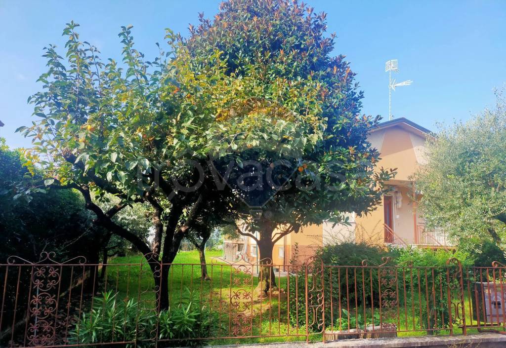 immagine annuncio 7 di 14