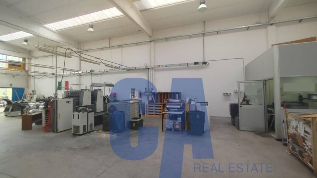 immagine annuncio 3 di 13