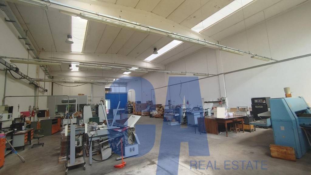 immagine annuncio 6 di 13