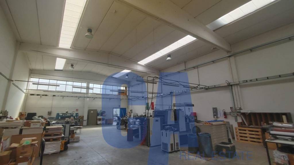 immagine annuncio 2 di 13