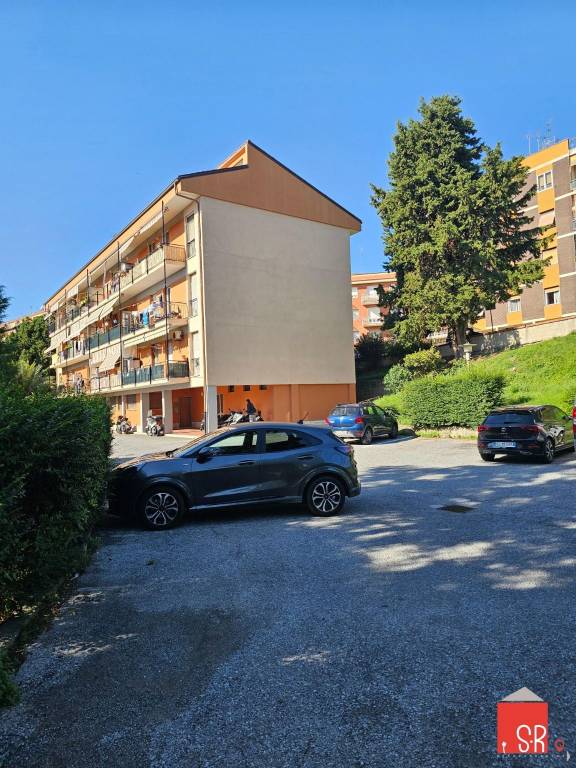 immagine annuncio 8 di 11