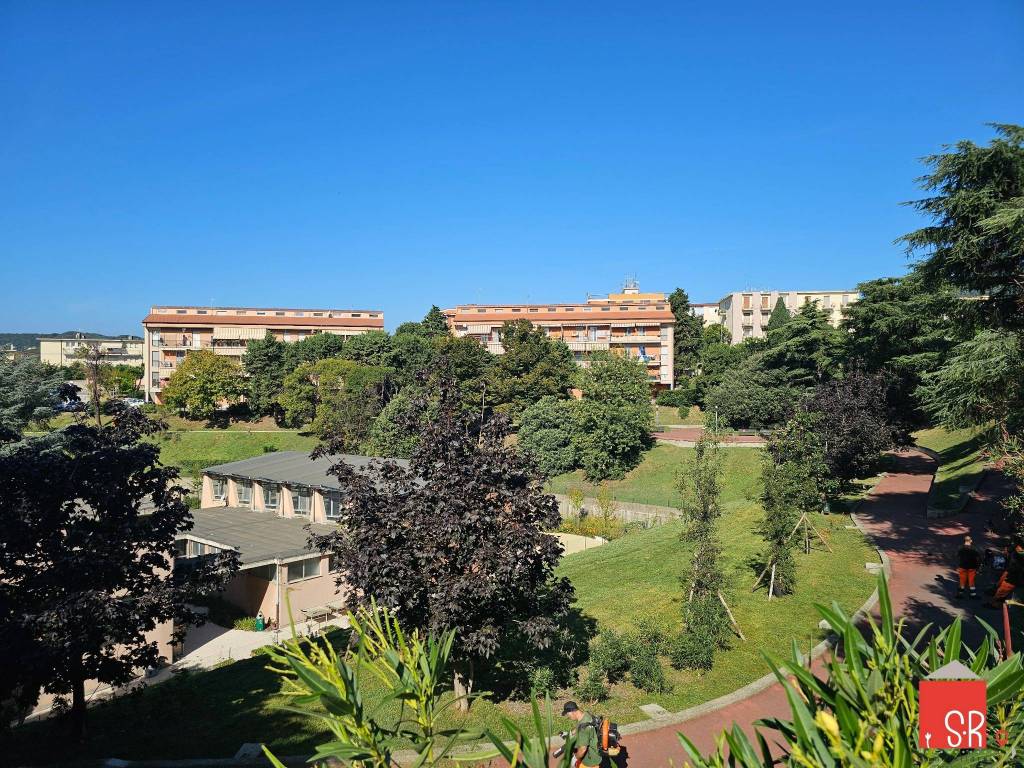 immagine annuncio 10 di 11