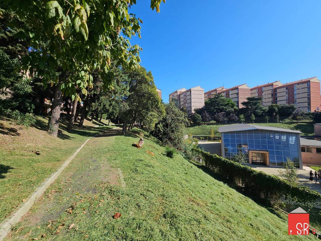 immagine annuncio 9 di 11