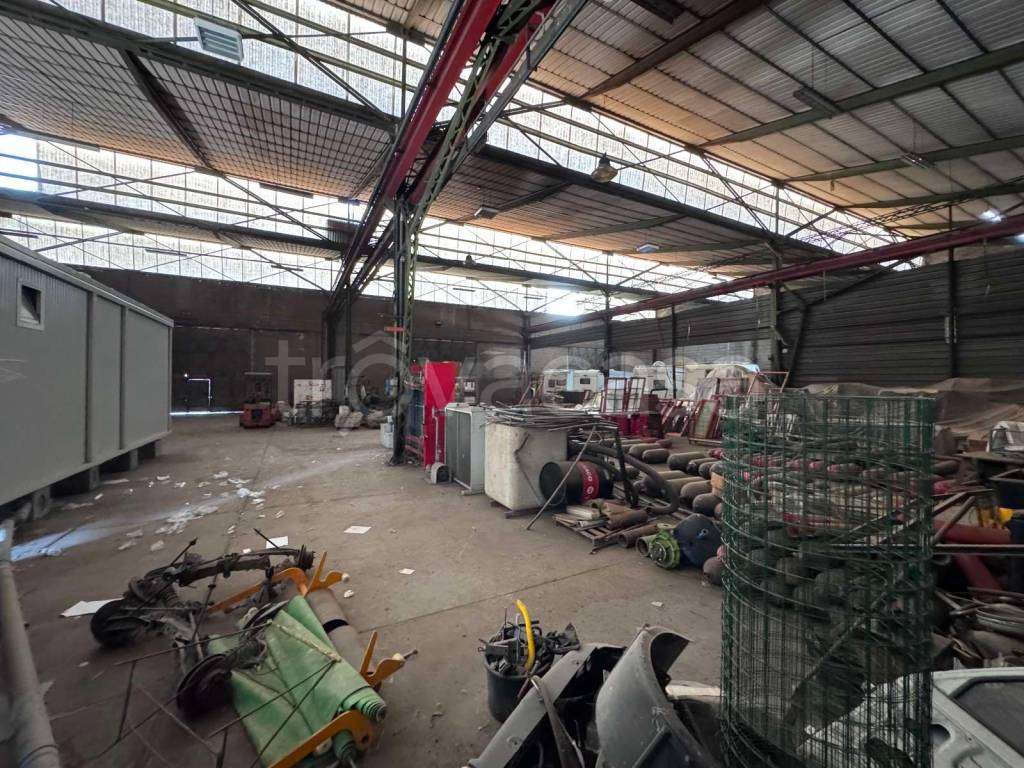 immagine annuncio 2 di 14