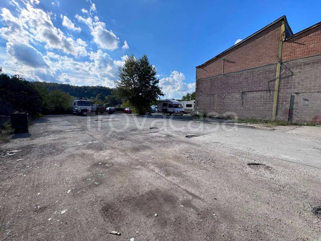 immagine annuncio 7 di 14