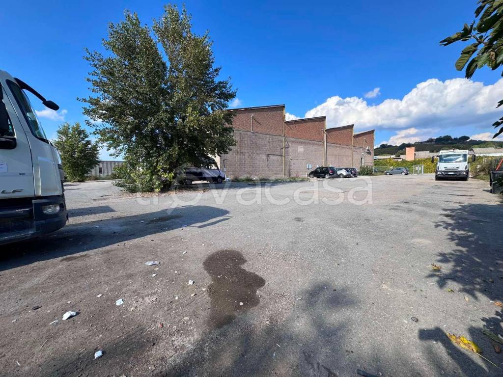 immagine annuncio 8 di 14