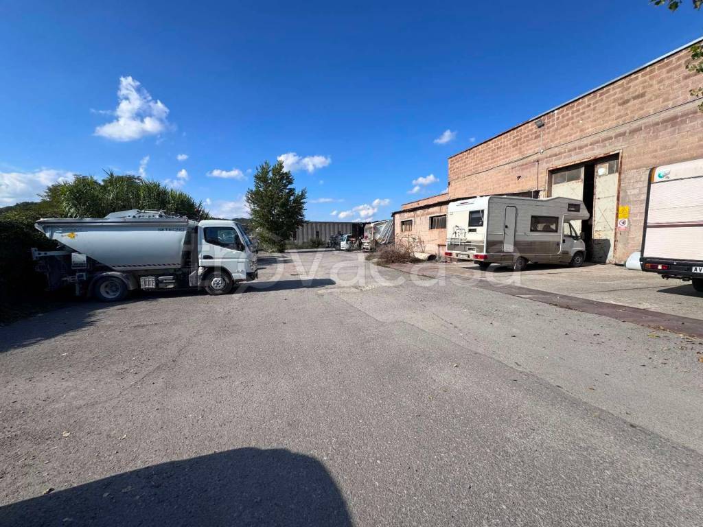 immagine annuncio 9 di 14