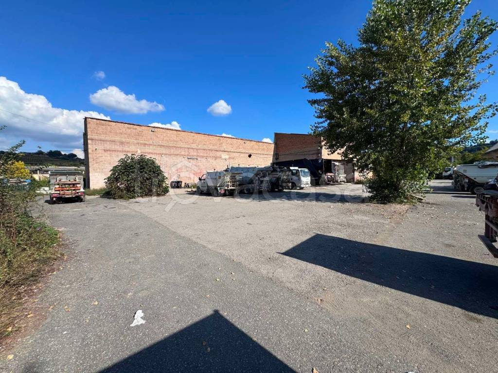 immagine annuncio 10 di 14