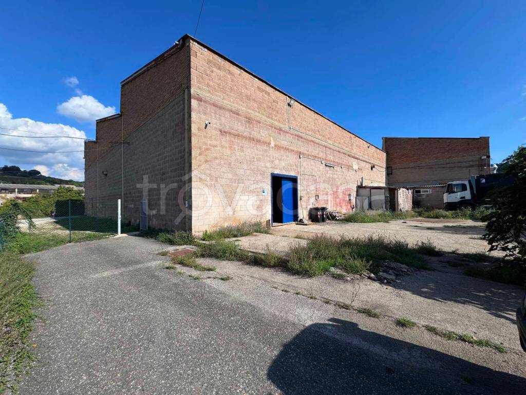 immagine annuncio 11 di 14