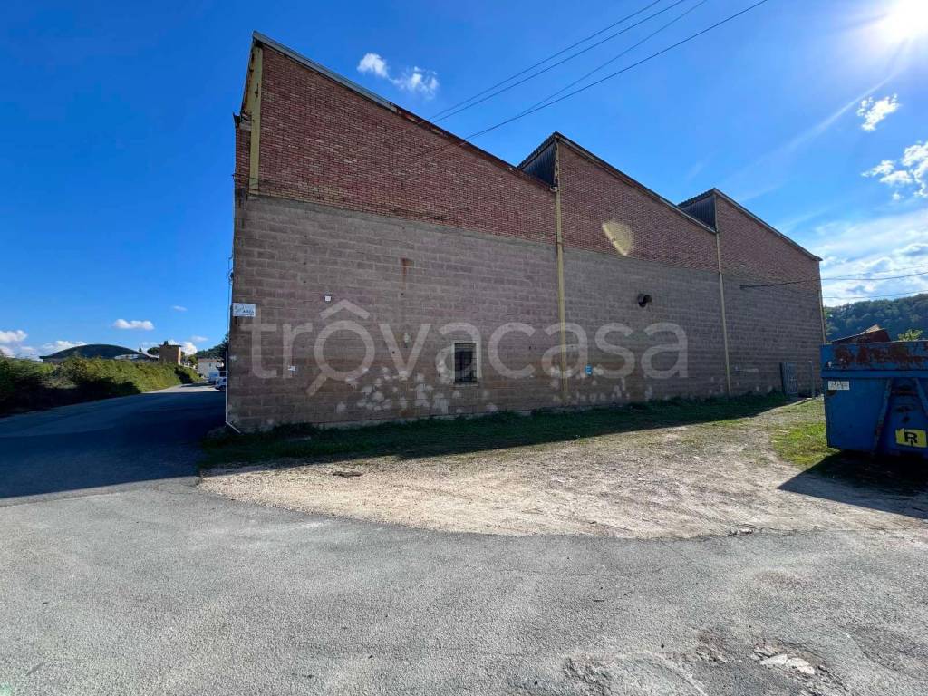 immagine annuncio 12 di 14