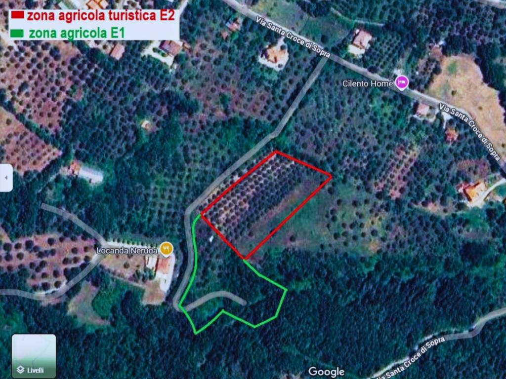 immagine annuncio 2 di 9