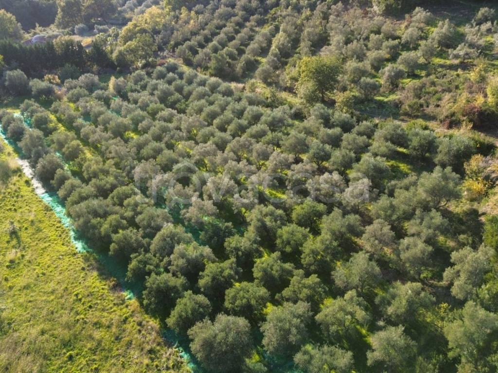 immagine annuncio 8 di 9