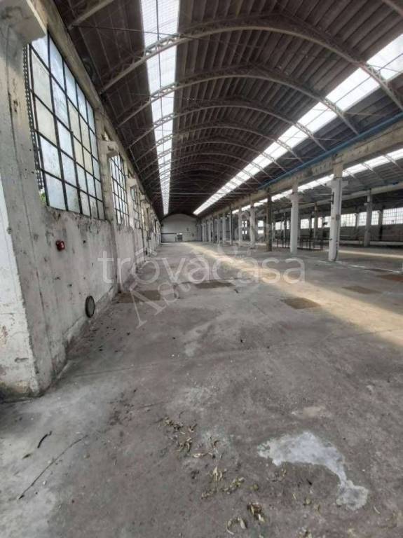 immagine annuncio 2 di 8