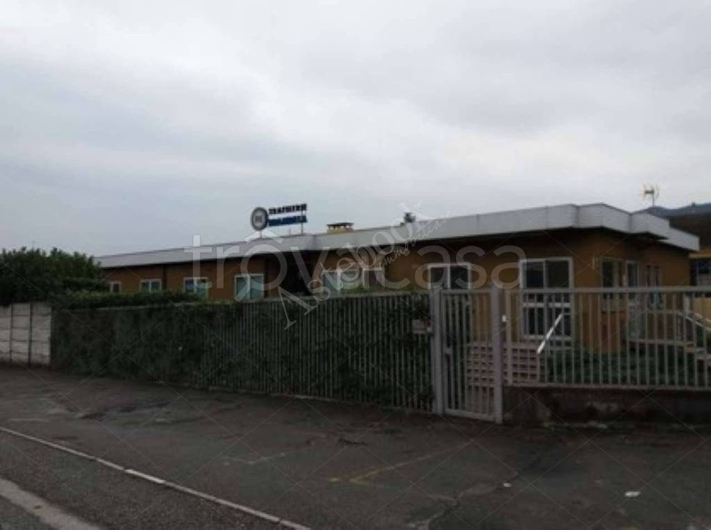 immagine annuncio 5 di 8