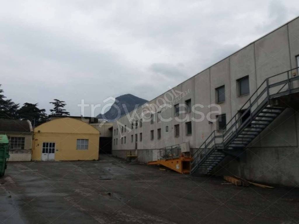 immagine annuncio 6 di 8