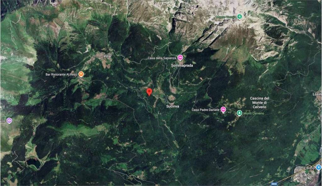 immagine annuncio 5 di 15