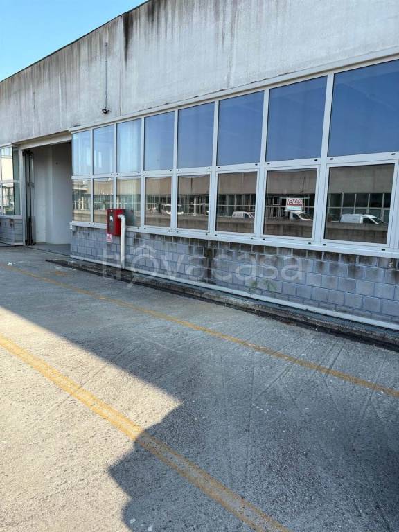 immagine annuncio 5 di 9