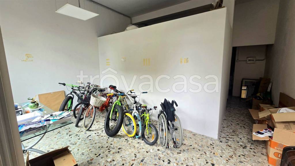 immagine annuncio 5 di 14