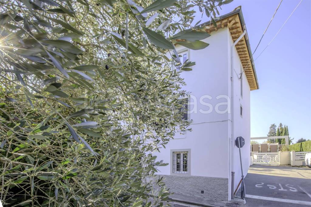 immagine annuncio 1 di 8