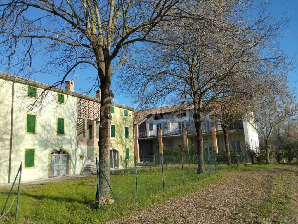 immagine annuncio 2 di 13