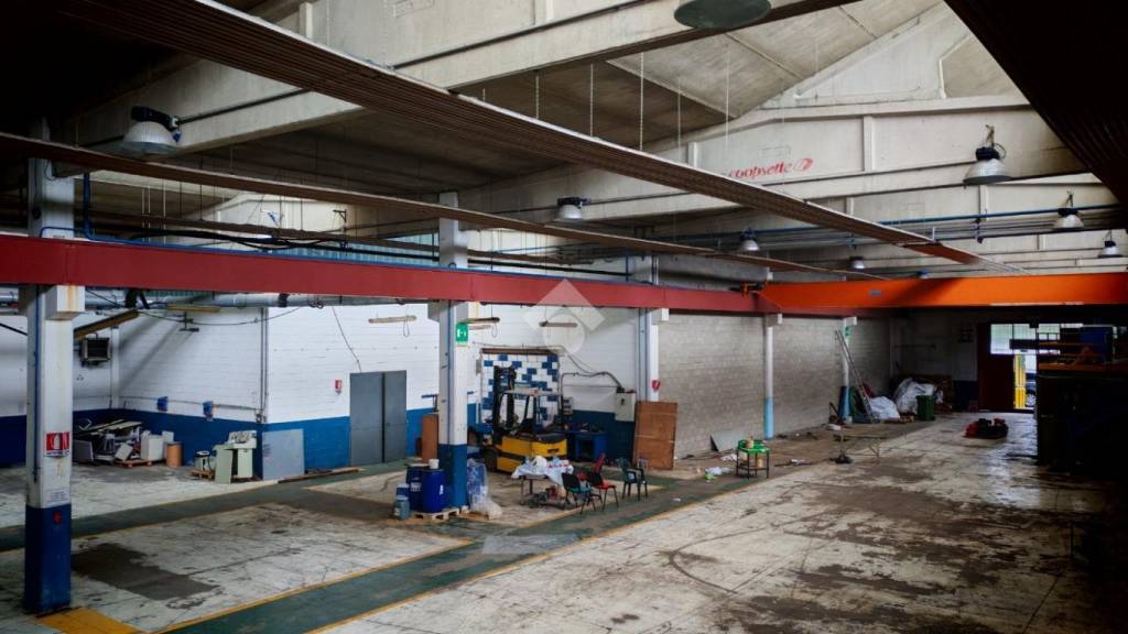 immagine annuncio 2 di 15