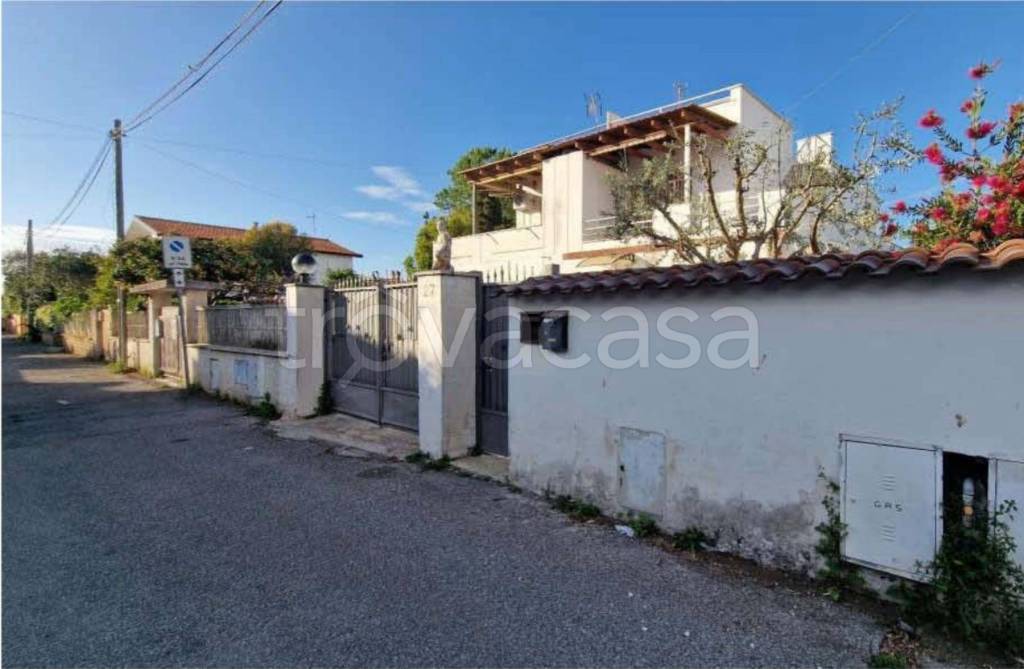 immagine annuncio 1 di 14