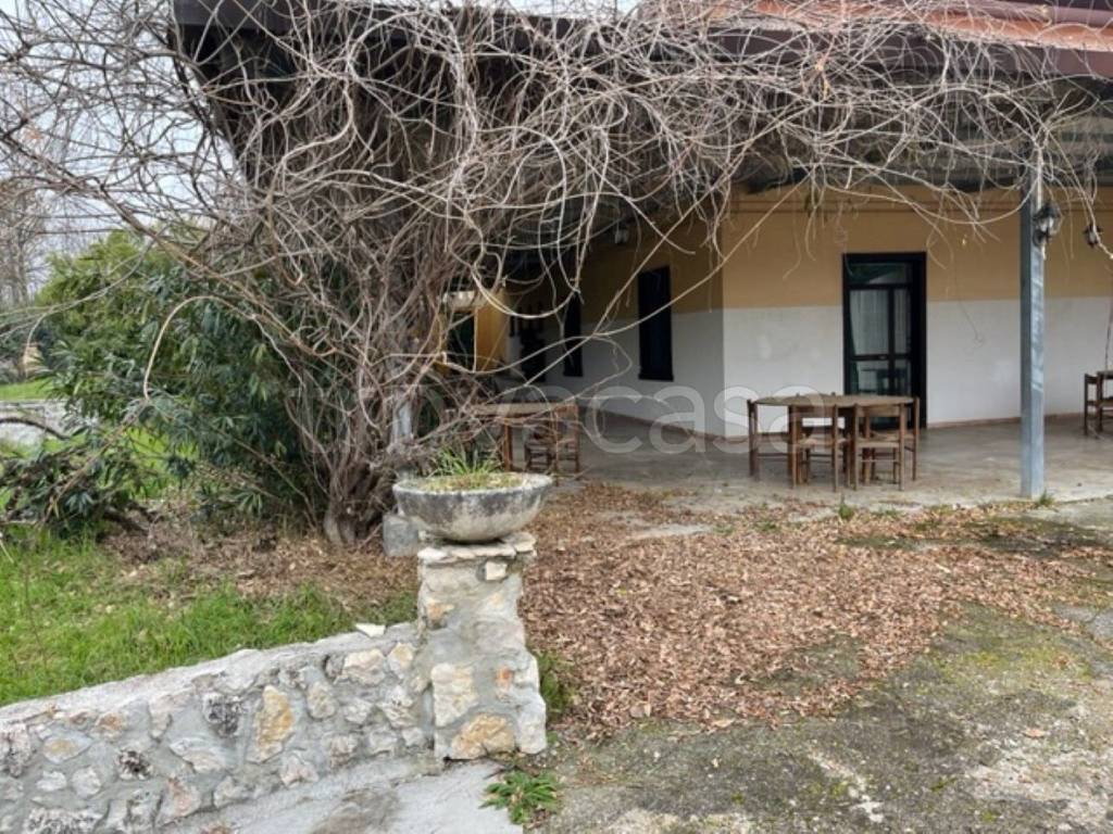 immagine annuncio 3 di 13