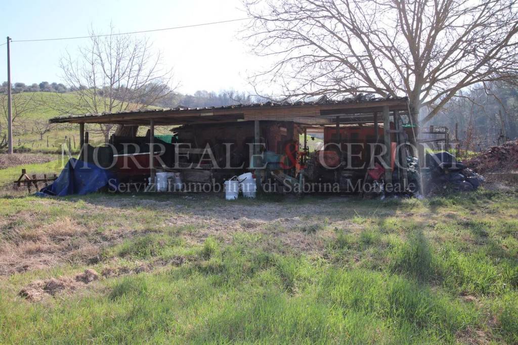 immagine annuncio 5 di 11