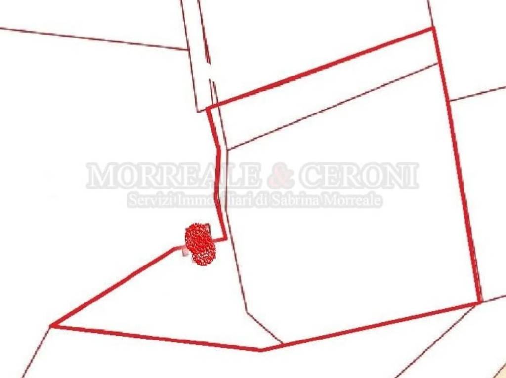 immagine annuncio 3 di 4