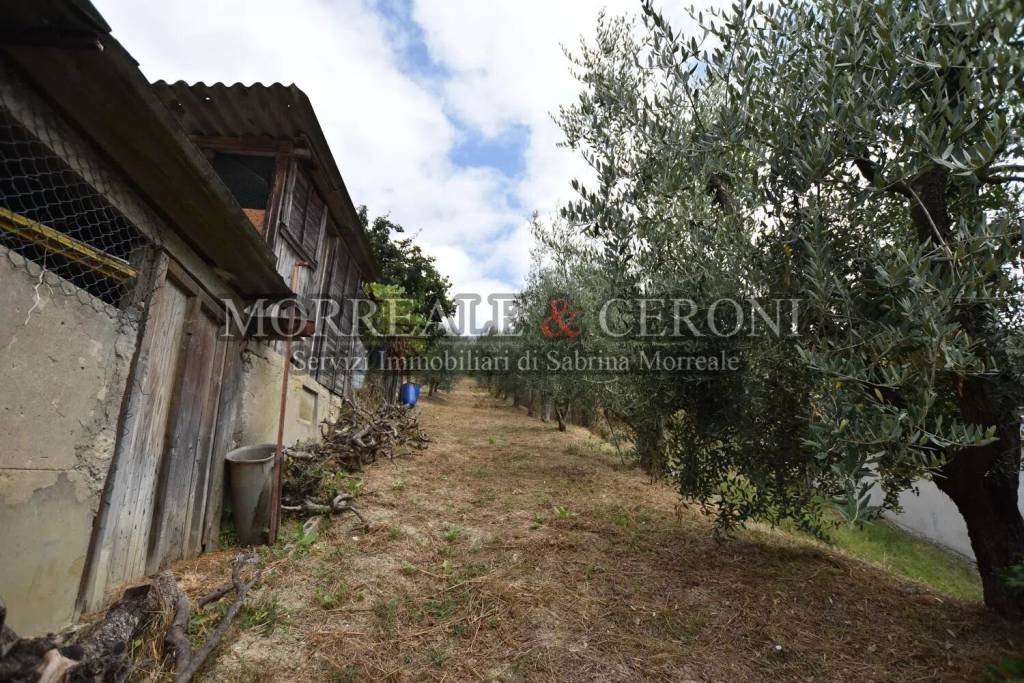 immagine annuncio 5 di 9