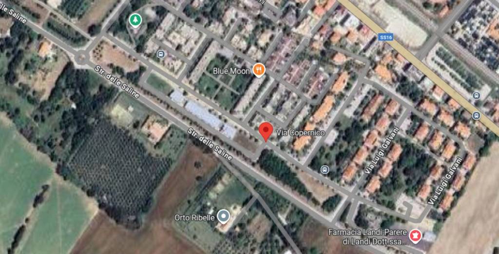 immagine annuncio 4 di 14