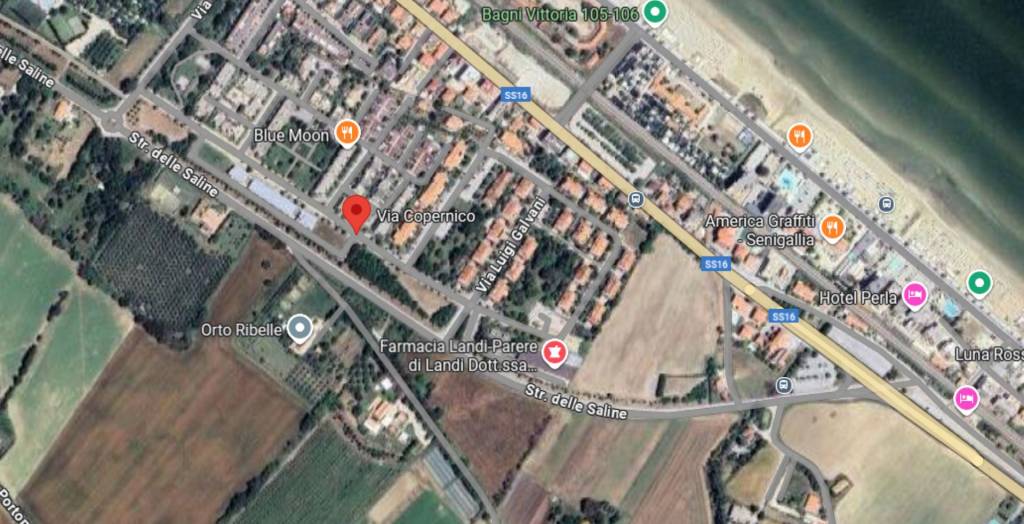 immagine annuncio 5 di 14